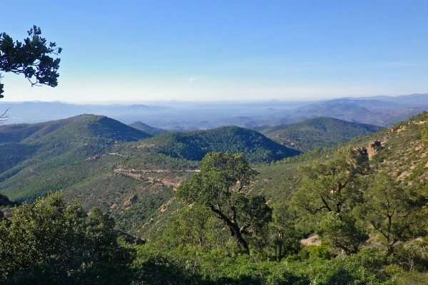 National Forestry Organization map - Esterel State Forest - Bonjour Fun