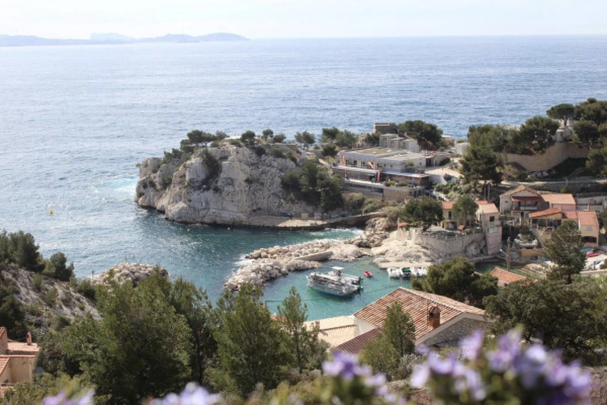 Catamaran sail ride in Marseille Bay from L'Estaque - Bonjour Fun