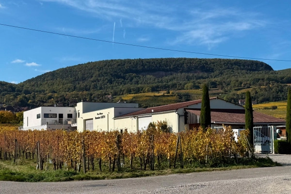 Christmas wine cellar – Gourmet tasting in the heart of the Alsatian vineyards - Bonjour Fun Christmas wine cellar – Gourmet tasting in the heart of the Alsatian vineyards - Bonjour Fun