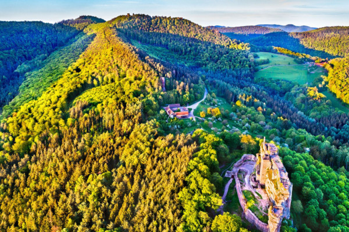 DIGITAL TREASURE LEMBACH (BY FOOT) - Bonjour Fun