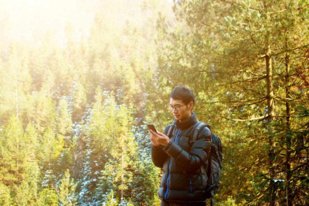 DIGITAL TREASURE WINTZENHEIM (BY FOOT) - Bonjour Fun