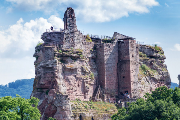 Entrance ticket - Castle of Fleckenstein - Bonjour Fun