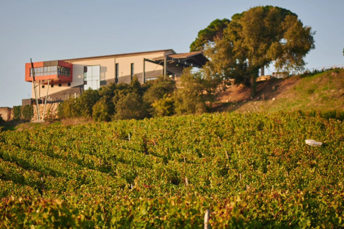 Chateau La Croizille St-Emilion Grand Cru Classé : Nature & Terroir Visit in English - Bonjour Fun