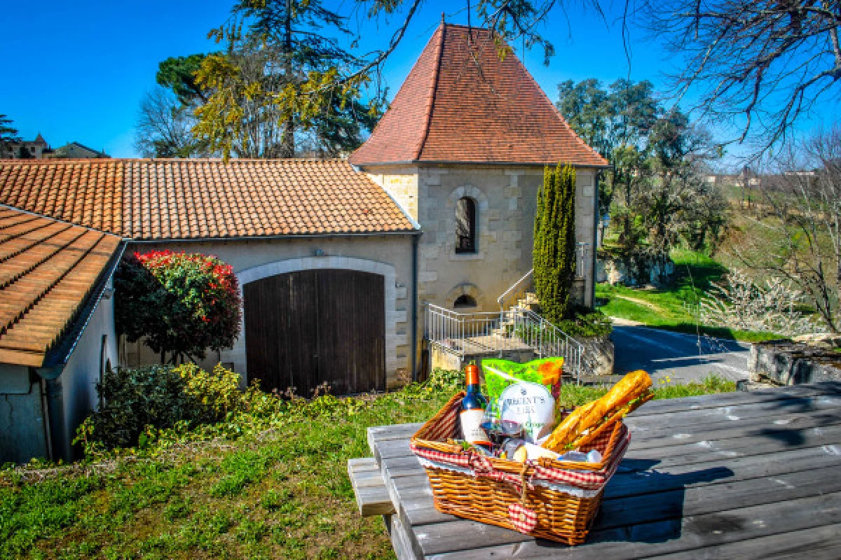 Château La Croizille St-Emilion Grand Cru Classé : Picnic & Visit in English - Bonjour Fun