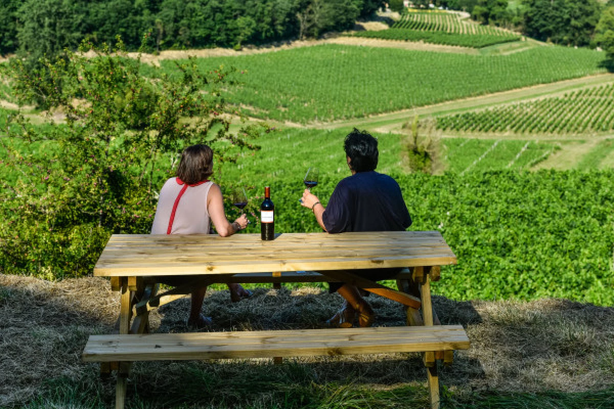 Château La Croizille St-Emilion Grand Cru Classé : Picnic & Visit in English - Bonjour Fun