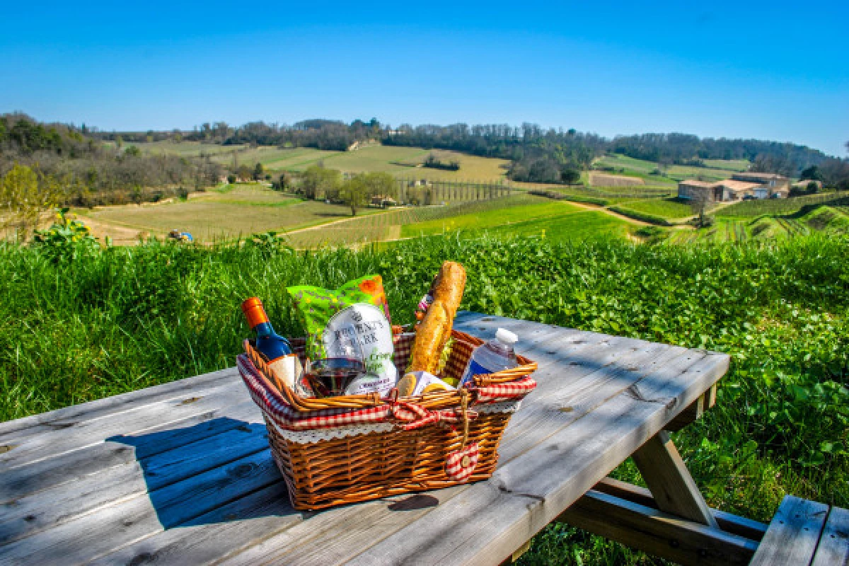 Château La Croizille St-Emilion Grand Cru Classé : Picnic & Visit in English - Bonjour Fun