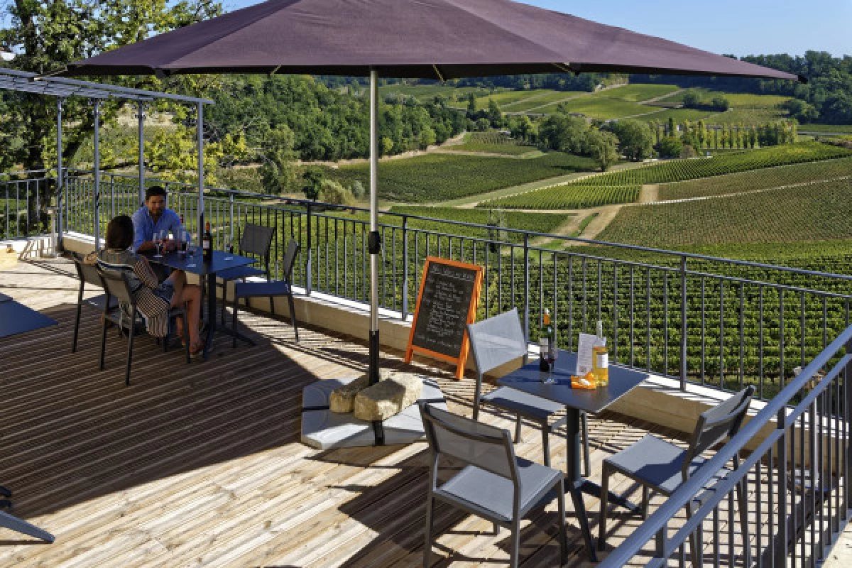 Château La Croizille St-Emilion Grand Cru Classé : Visit & Wine Tasting in English - Bonjour Fun