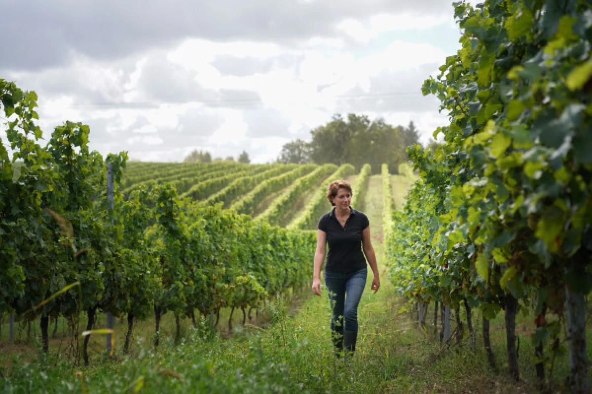 Château Lestrille - Tour & tasting - Bonjour Fun