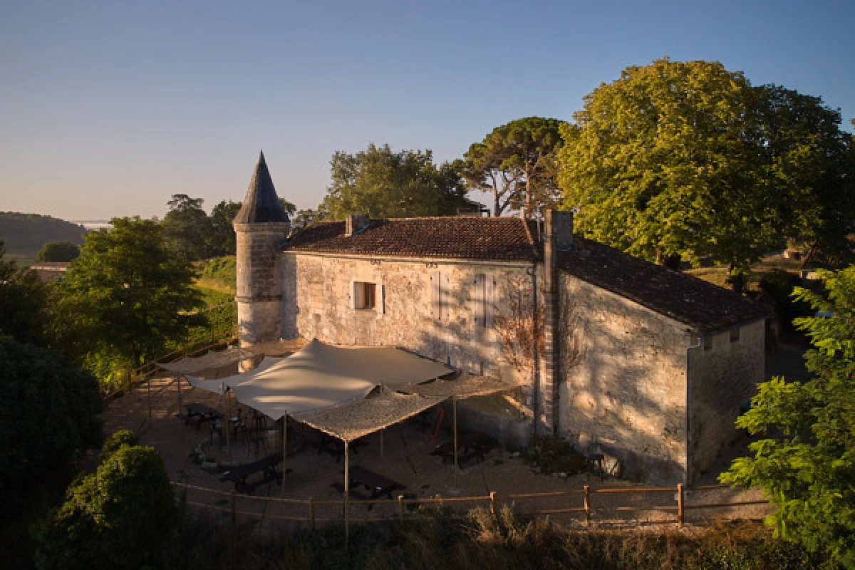 Chateau Tour Baladoz : Right vs Left Bank Wine Tasting in English - 6 wines - Bonjour Fun