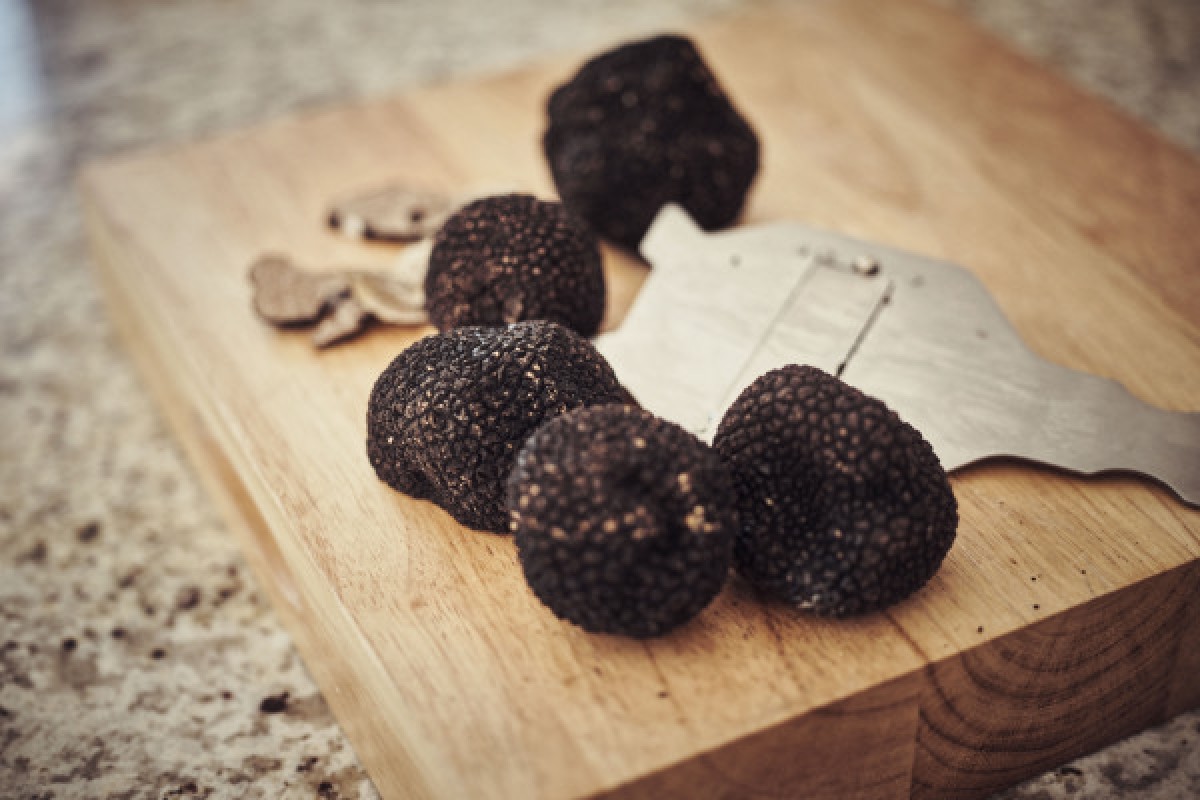 Chateauneuf-du-Pape : Truffles, Aigueze and Wine - Bonjour Fun