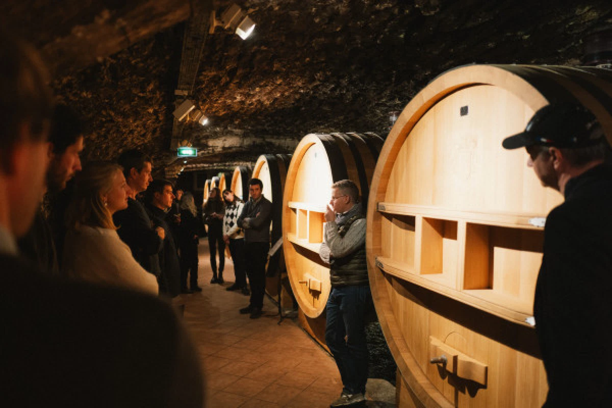 Chateauneuf-du-Pape : Truffles, Wines - Bonjour Fun