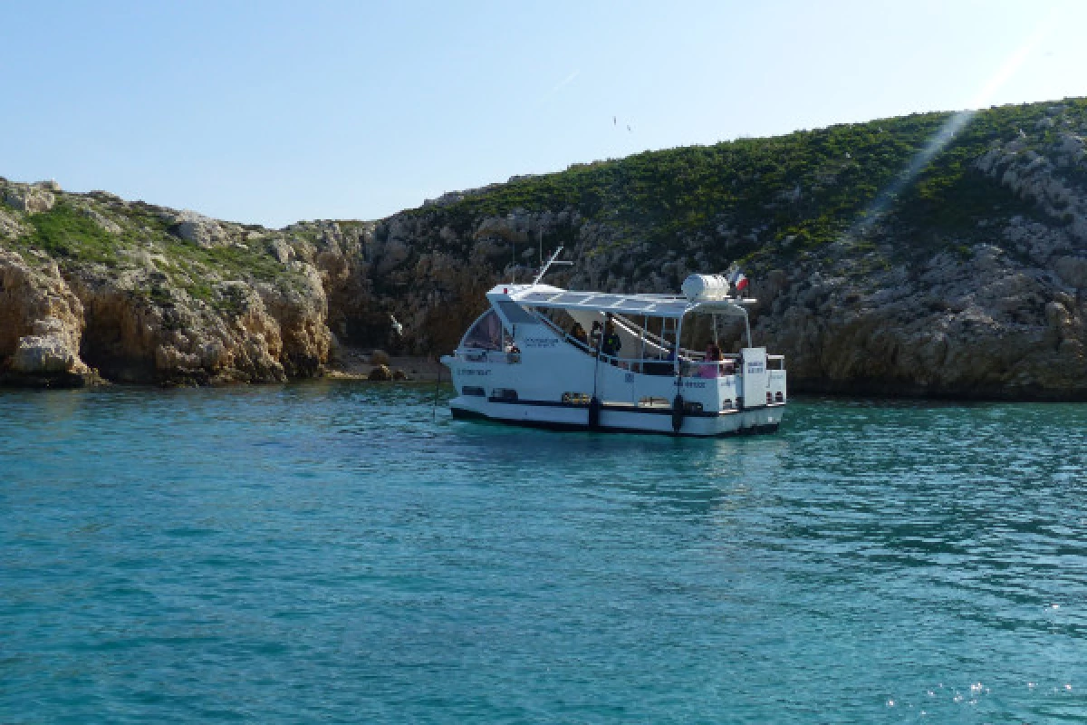 2-hour ecological tour: the biodiversity of Marseille's islands - Bonjour Fun