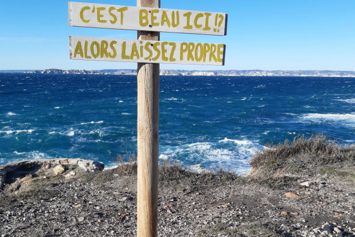 2-hour ecological tour: the biodiversity of Marseille's islands - Bonjour Fun