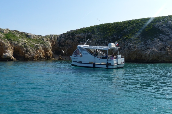 2-hour ecological tour: the biodiversity of Marseille's islands - Bonjour Fun