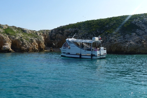 2-hour ecological tour: the biodiversity of Marseille's islands - Bonjour Fun
