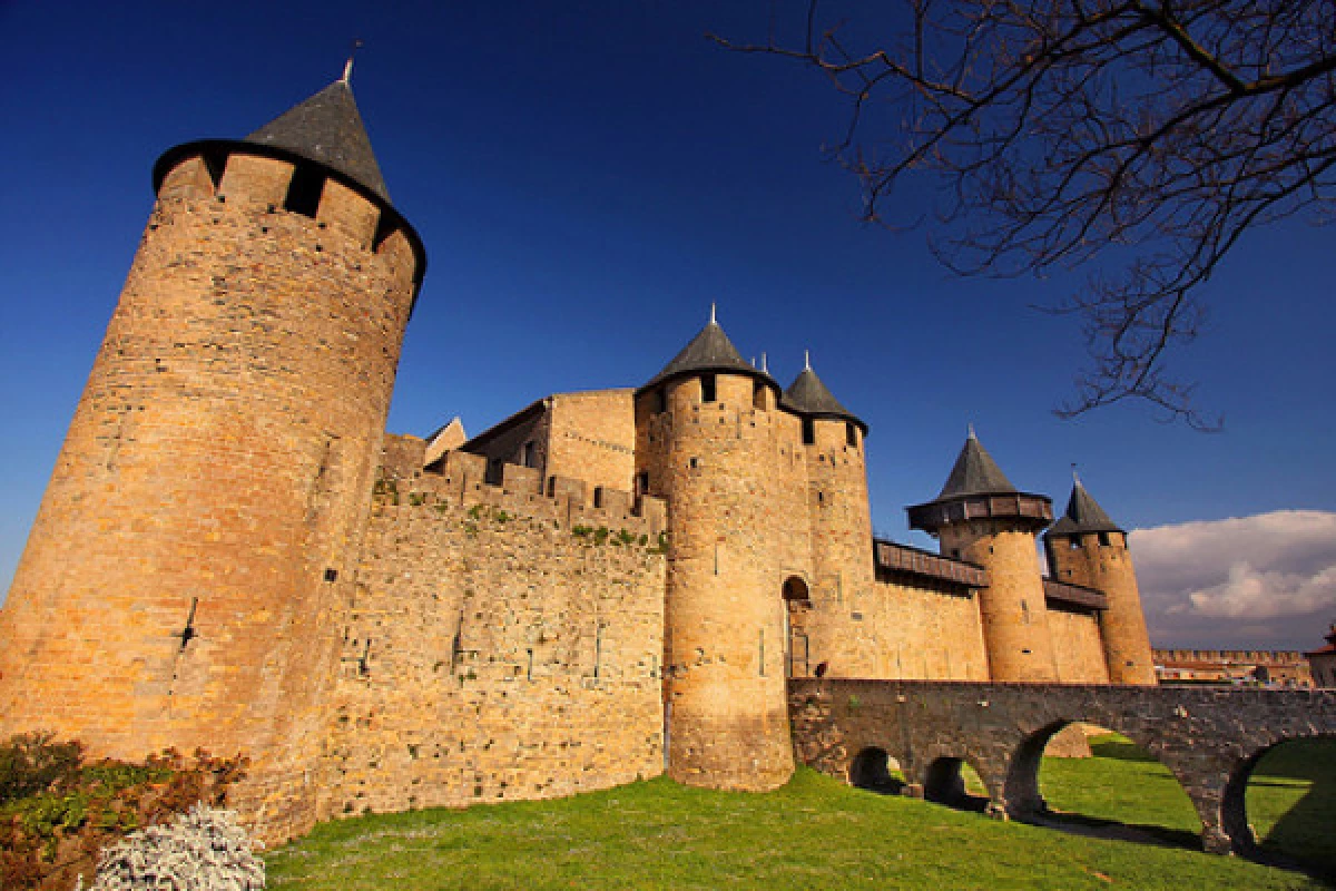 Cité Carcassonne UNESCO + Comtal Castel - Bonjour Fun