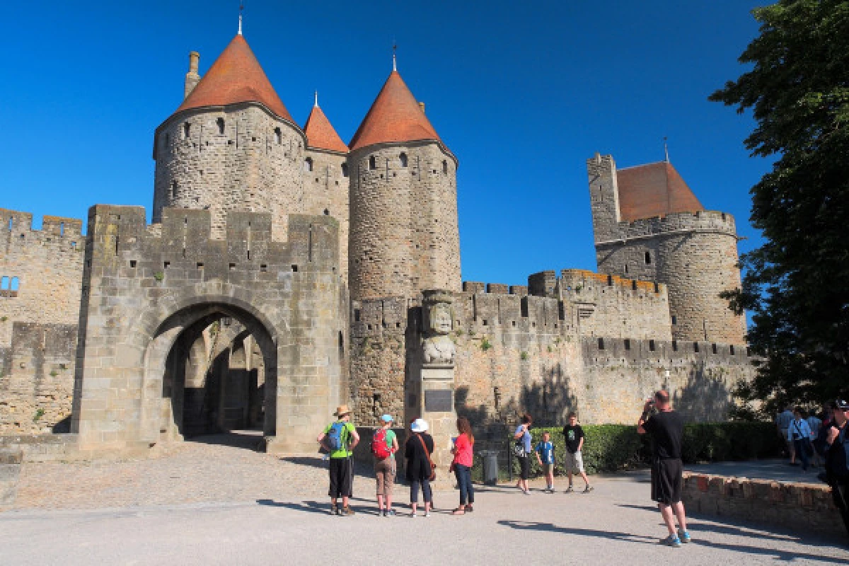 Cité Carcassonne UNESCO + Comtal Castel - Bonjour Fun