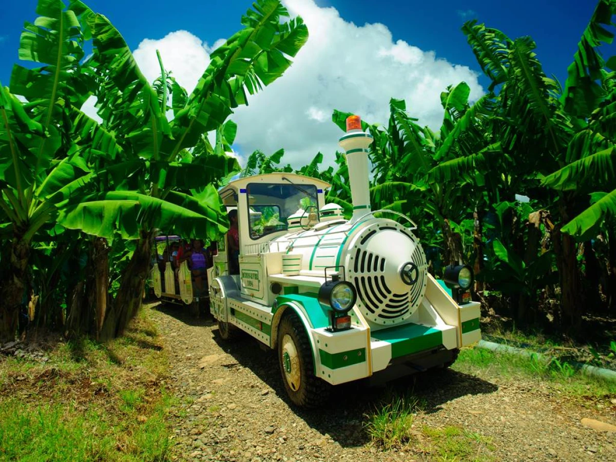 City Tour - Fort de France - Bonjour Fun
