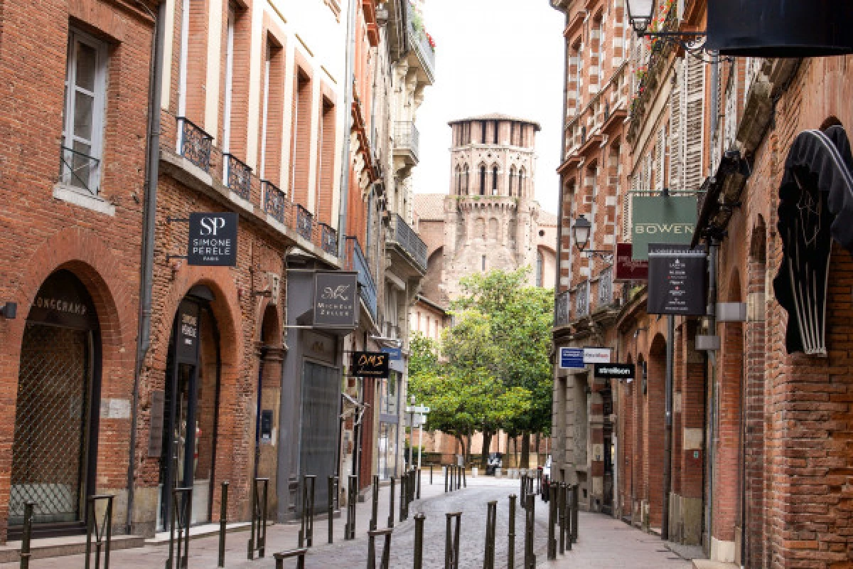 CityTour Toulouse - Sightseeing Tour - Bonjour Fun