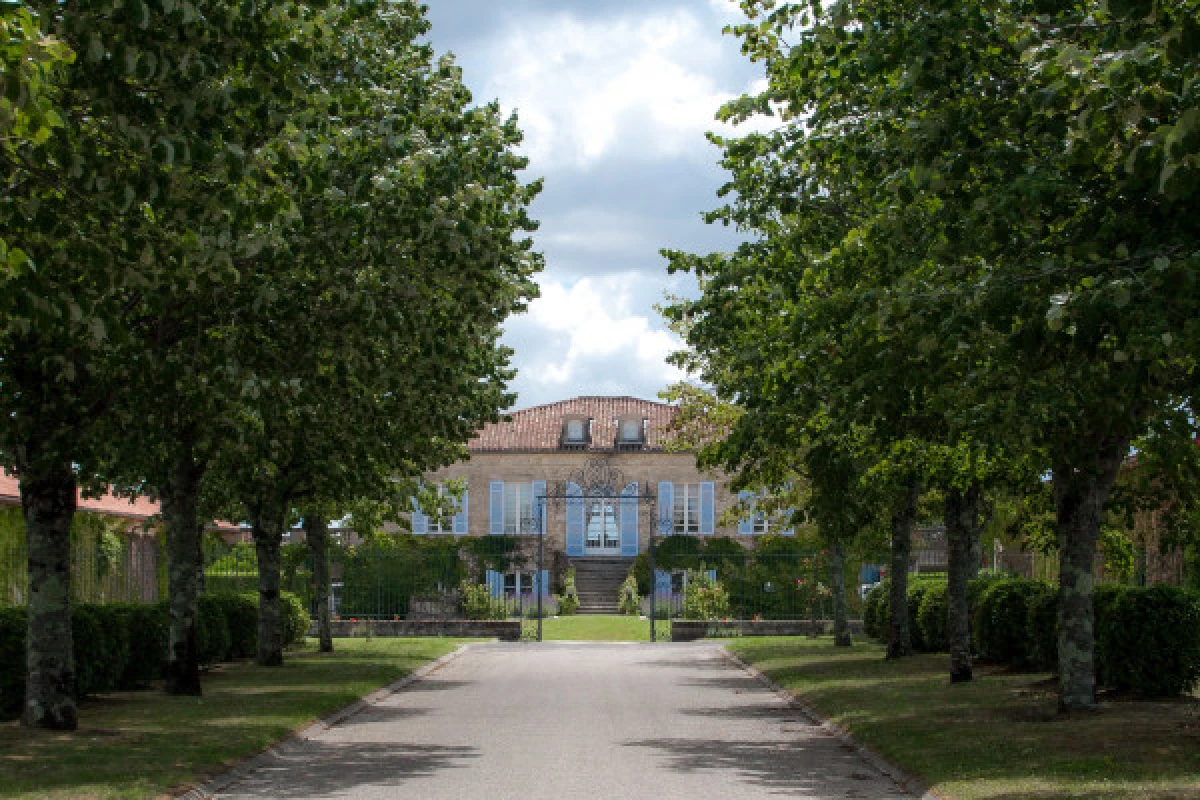 Classic Tour at Château de Camensac - Bonjour Fun