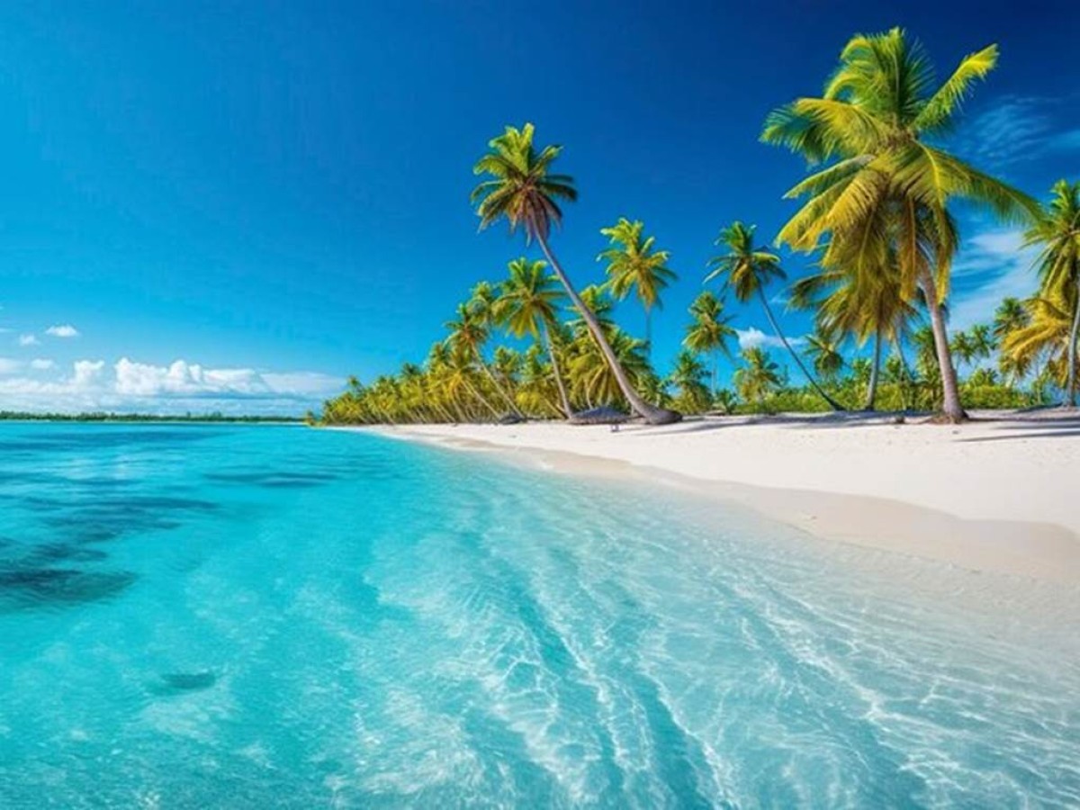 Coco Bongo Punta Cana: Espectáculo Inolvidable con Barra Libre y Transporte Incluido - Bonjour Fun