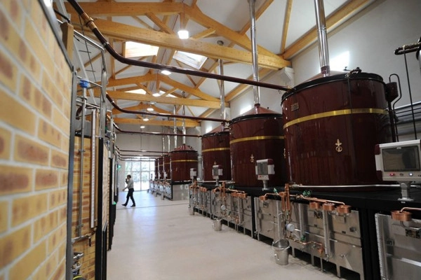 Cognac private day tour from Bordeaux (Sedan or Minivan) - Bonjour Fun