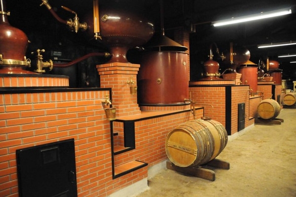 Private Cognac Tour from Bordeaux - Bonjour Fun