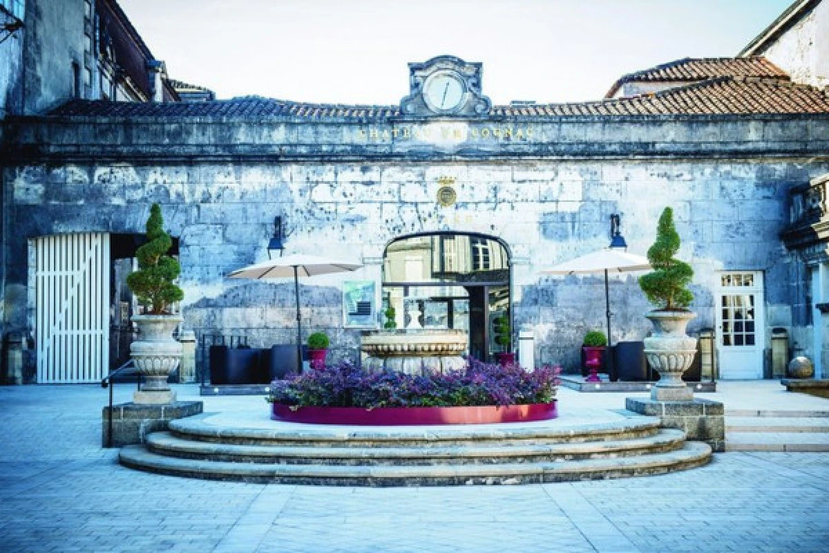 Cognac private day tour from Bordeaux (Sedan or Minivan) - Bonjour Fun