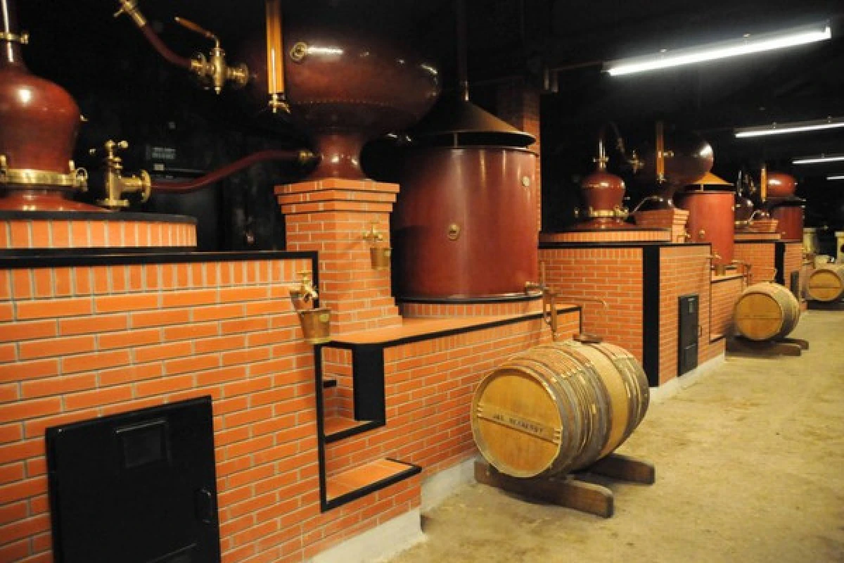 Cognac private day tour from Bordeaux (Sedan or Minivan) - Bonjour Fun