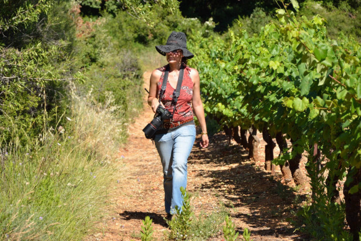 Bret's Table Côte d'Azur Wine Tour - Full Day - Private Tour - Bonjour Fun