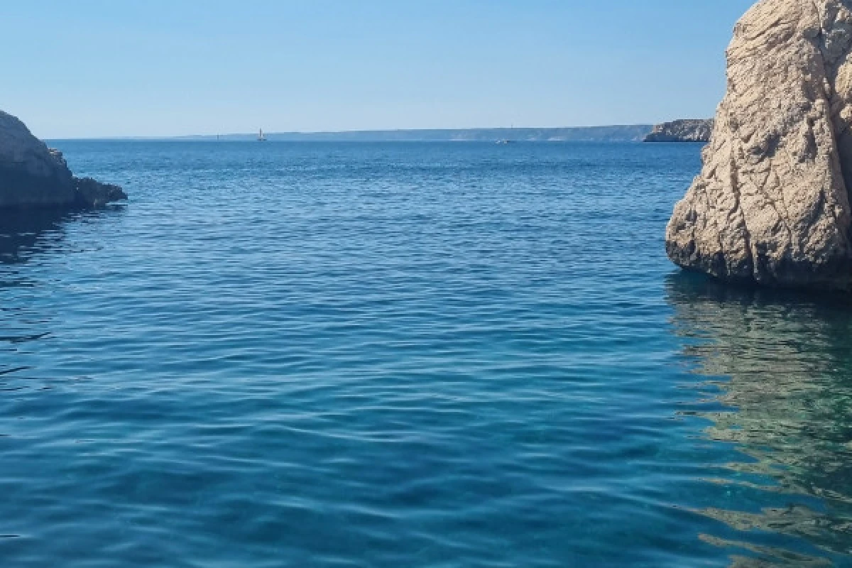 Half-day cruise and swimming in the Calanques National Park - Mucem - Bonjour Fun