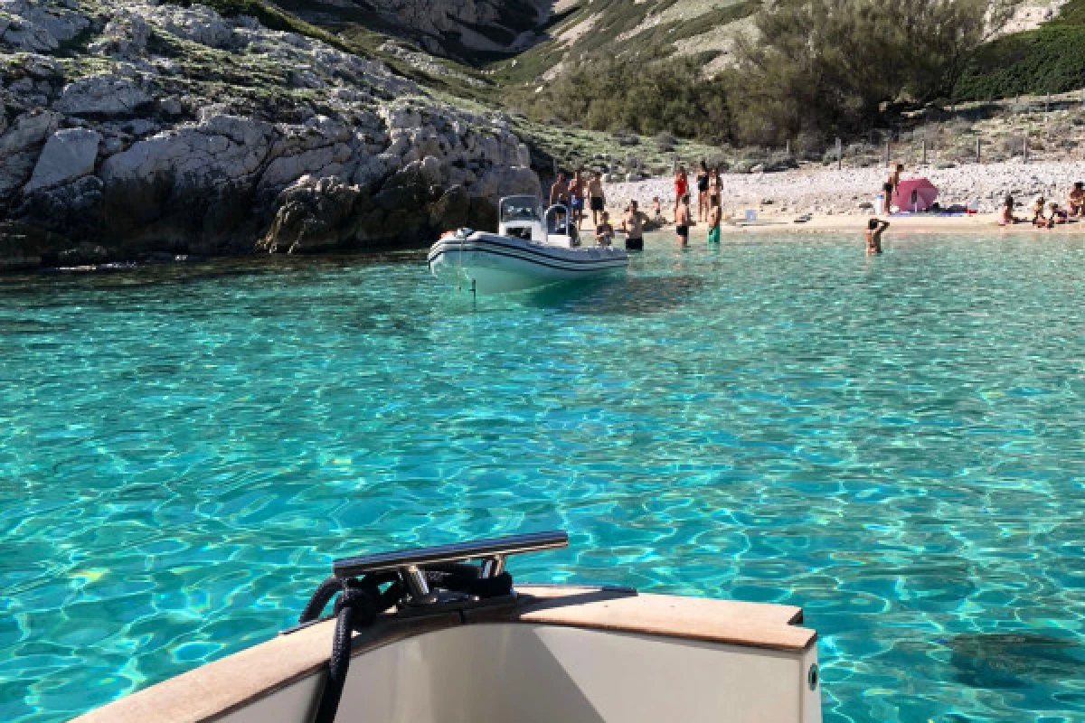 Half-day cruise and swimming in the Calanques National Park - Theater “La Criée” - Bonjour Fun