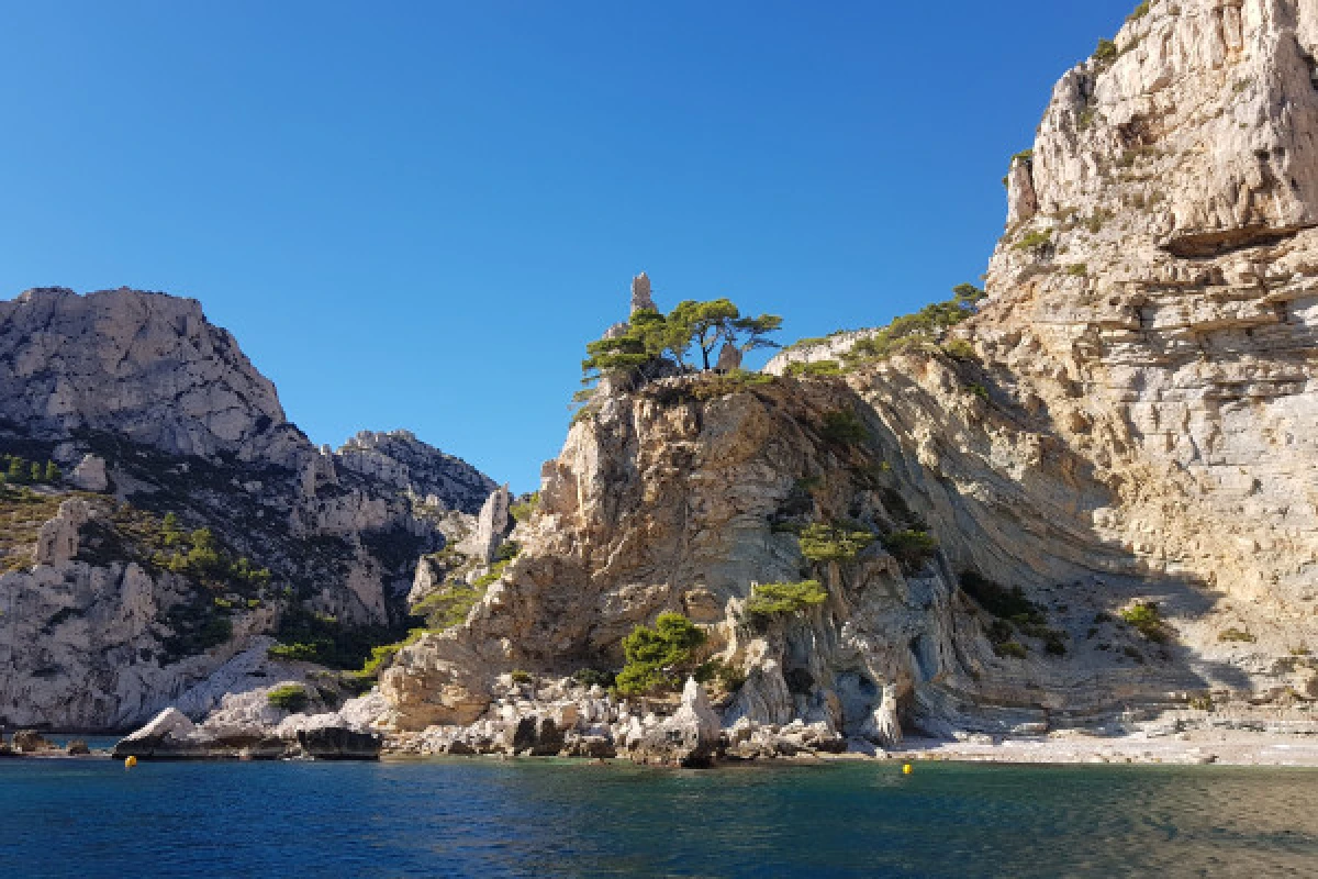 Excursion daytrip  to the Calanques - CITY HALL - Bonjour Fun