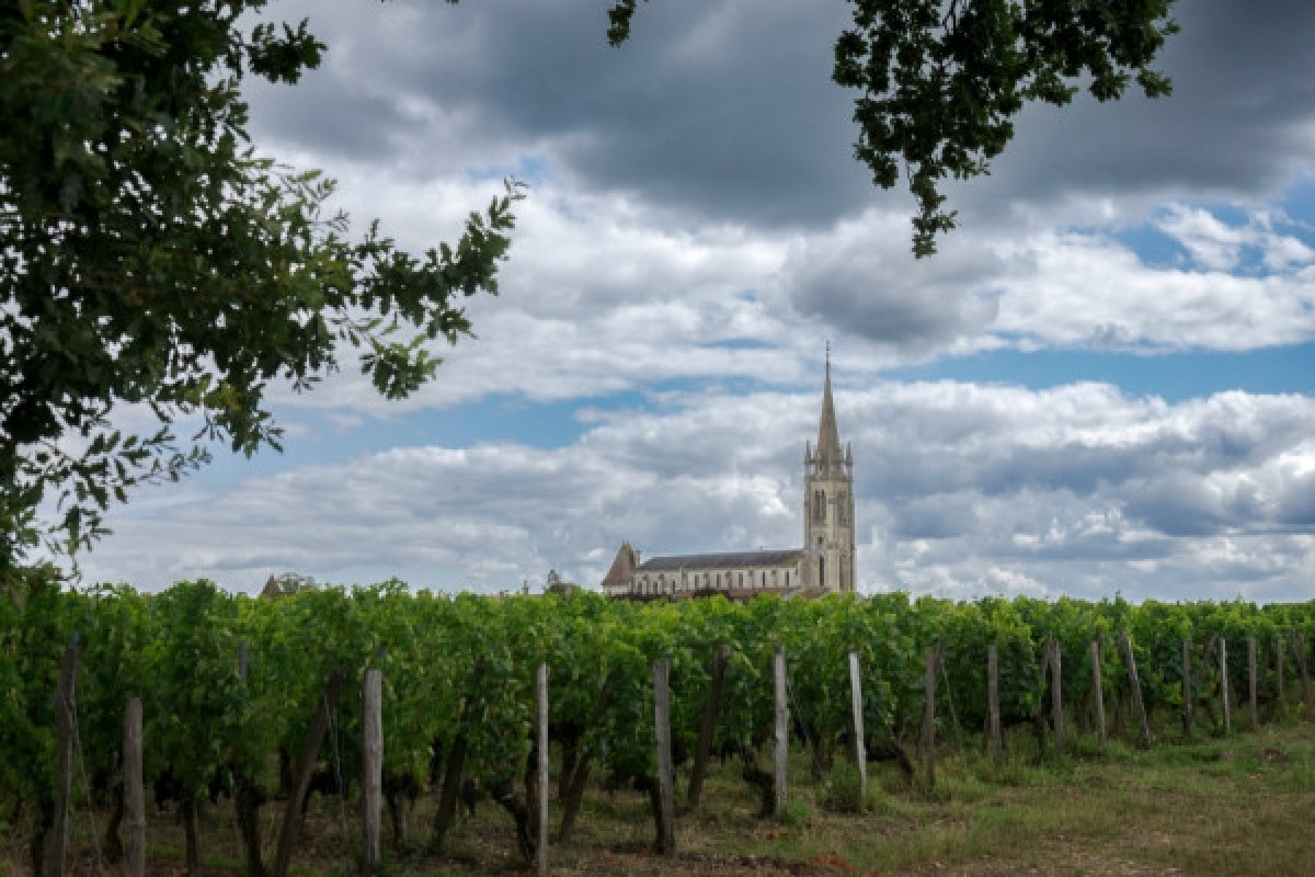 Day in Saint-Émilion & Pomerol - Bonjour Fun