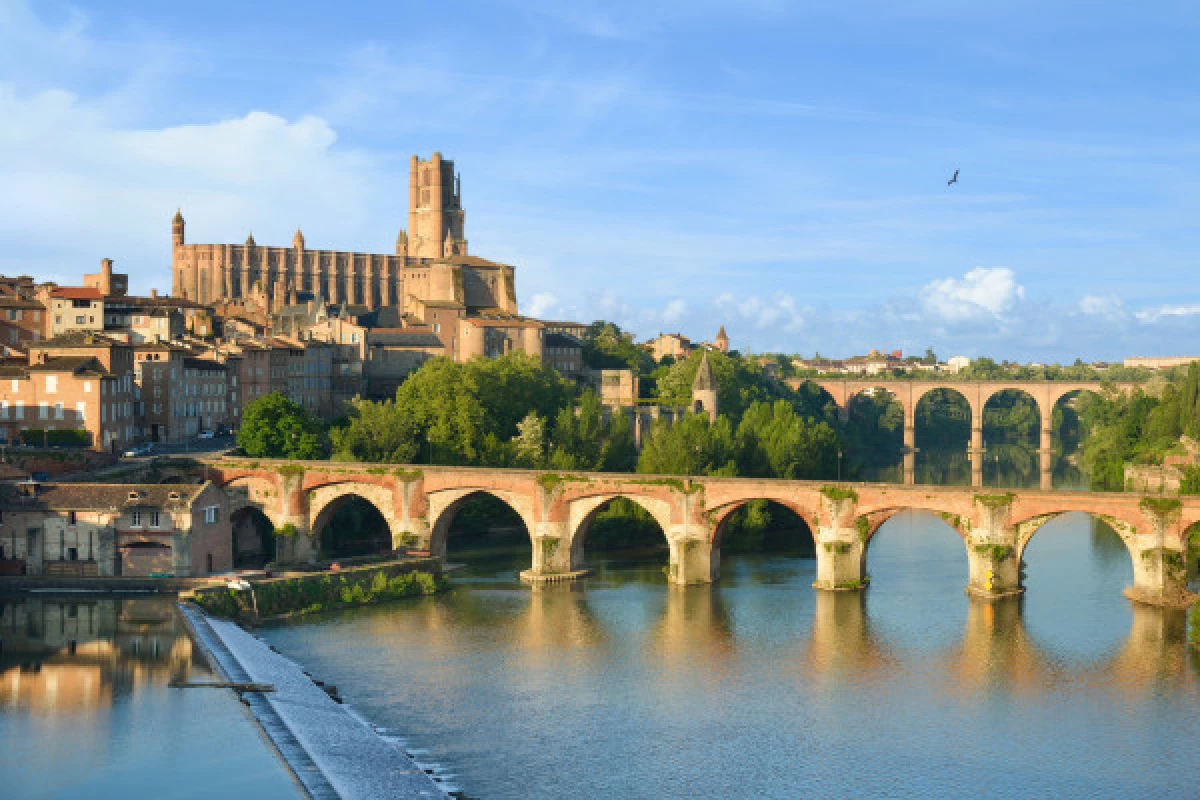 Day trip  Albi UNESCO and  Cordes sur Ciel - Bonjour Fun