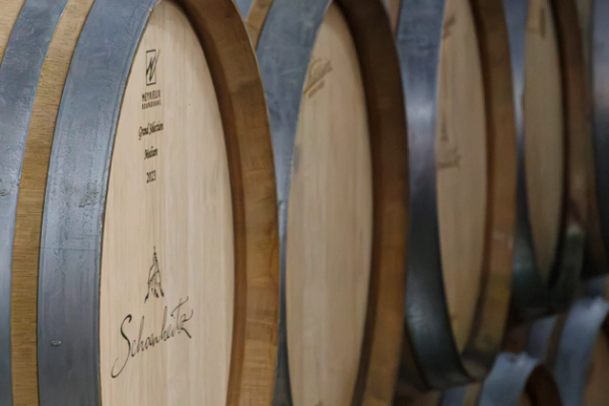 Visit a vineyard and discover Alsace wines - Bonjour Fun