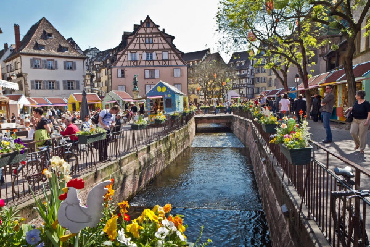 Discovering Colmar on a Segway - Bonjour Fun