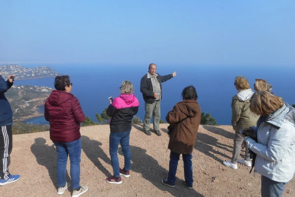 Discovery of the Estérel with a forest guide - Bonjour Fun