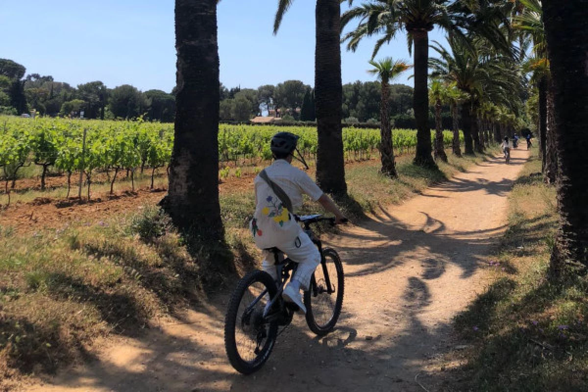 Biking wine tour in the Gulf of Saint-Tropez - Bonjour Fun