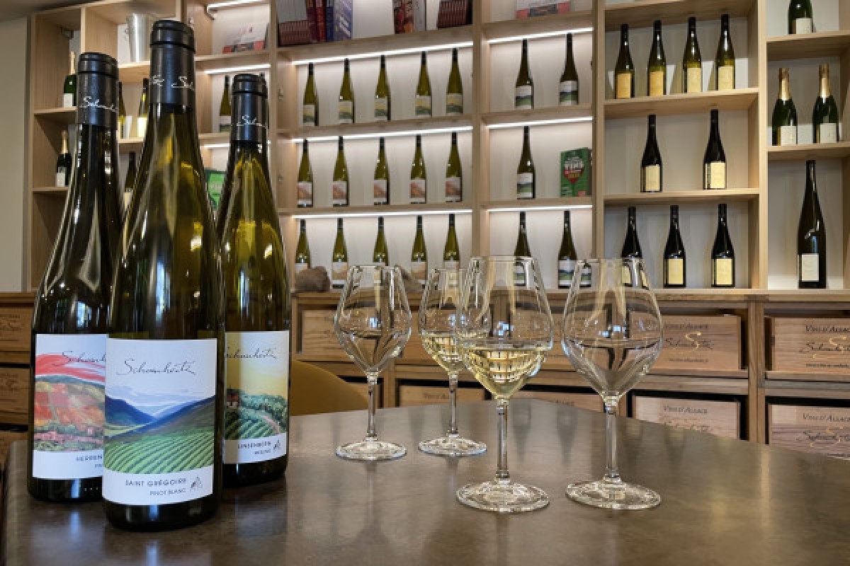 Discovering the wines of Alsace - Bonjour Fun