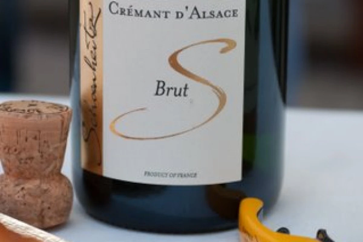 Discovering the wines of Alsace - Bonjour Fun