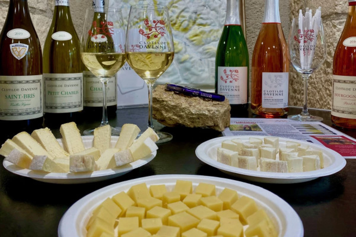 Wine and cheese pairing tasting in Chablis - Bonjour Fun