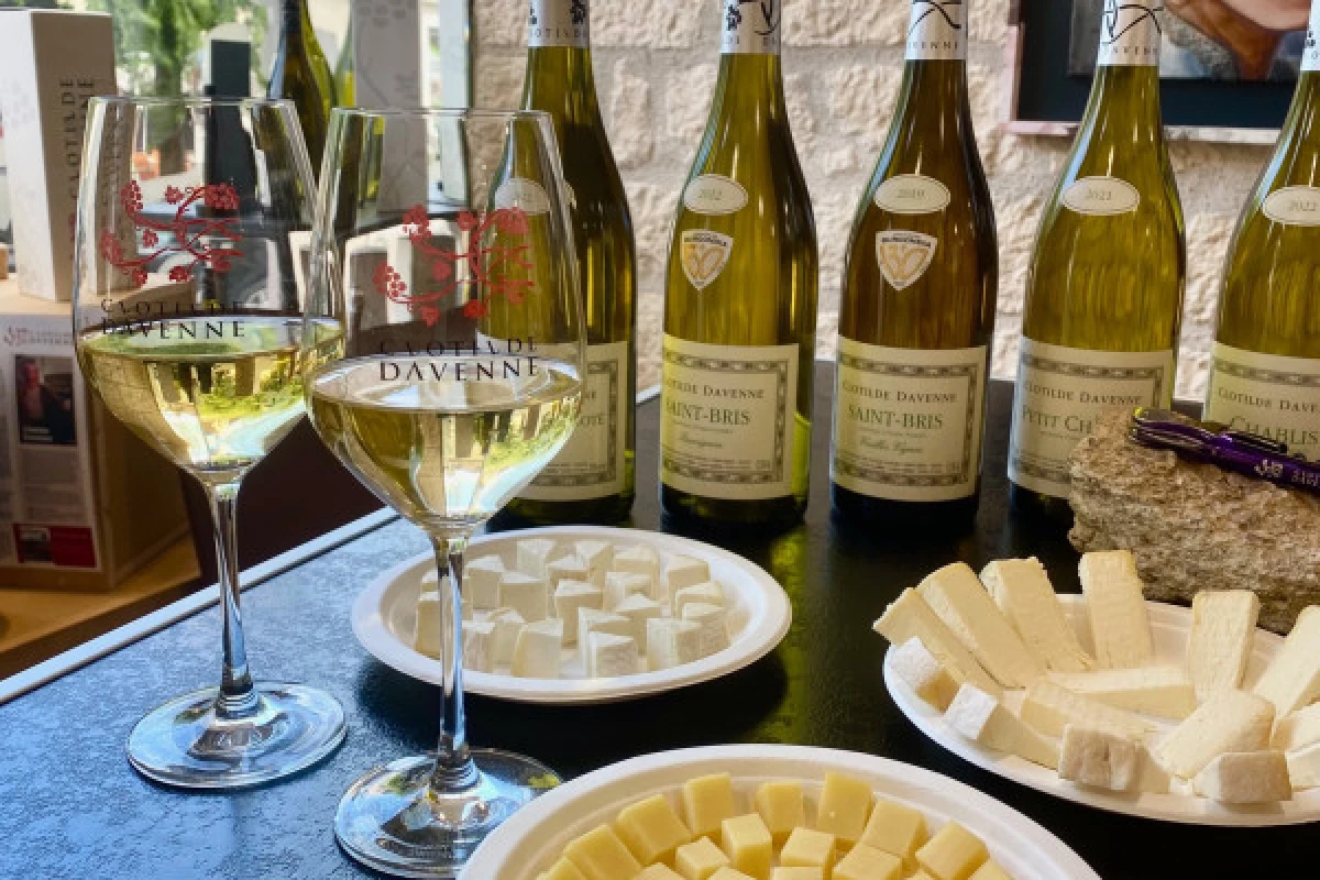 Wine and cheese pairing tasting in Chablis - Bonjour Fun