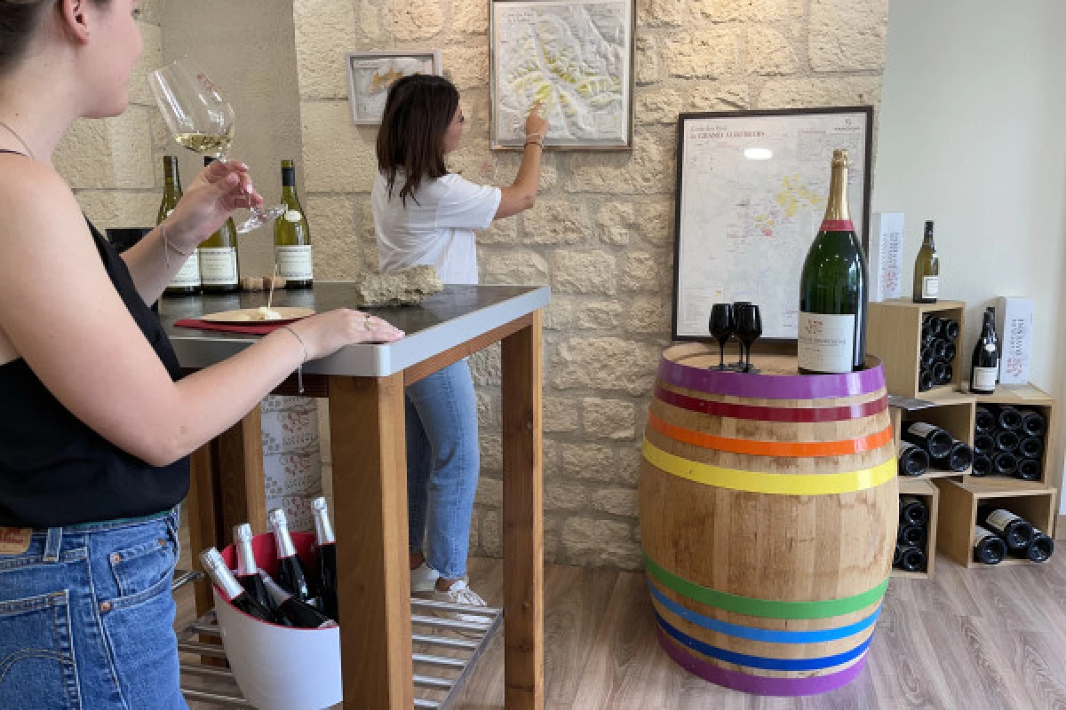 Wine and cheese pairing tasting in Chablis - Bonjour Fun