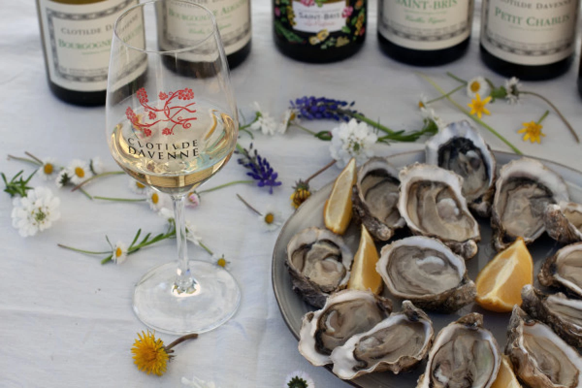 Wine and oyster tasting at Chablis. - Bonjour Fun