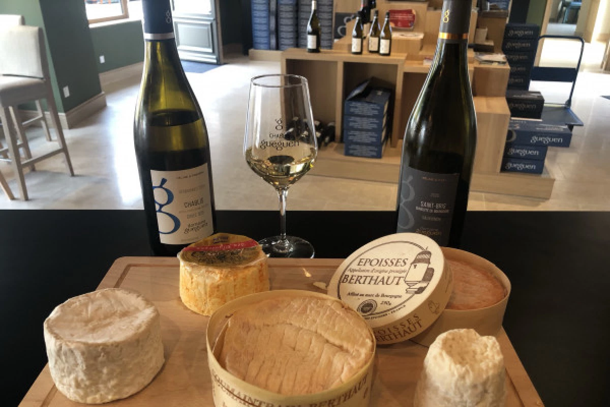 Wine tasting with cheeses - Bonjour Fun