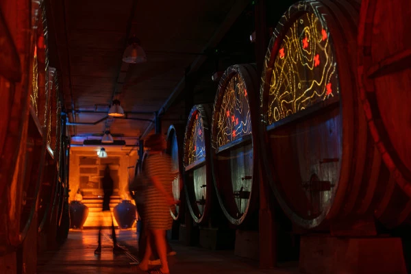 Wine tasting and immersive cellar tour - Bonjour Fun