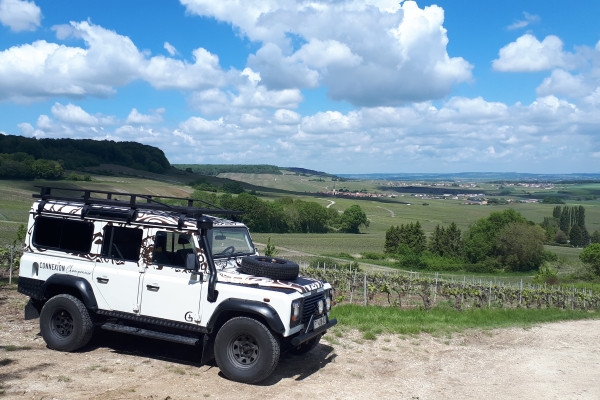 The Must-Have Tradition, tasting in the vineyard - Bonjour Fun