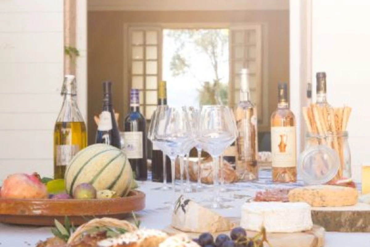 The Wines of Provence (Rosé, Red and White) - Bonjour Fun