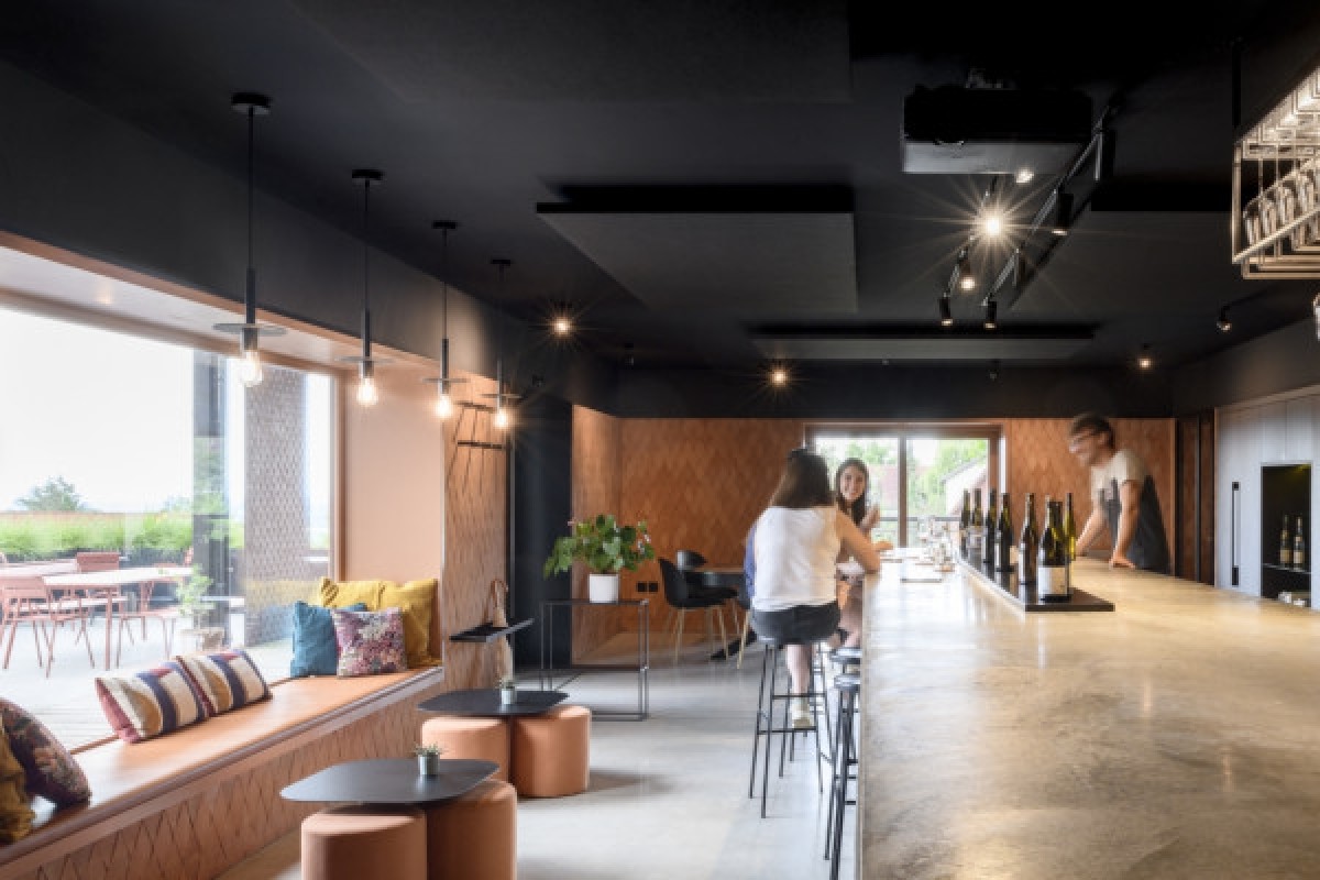 Discovery tasting - Bonjour Fun